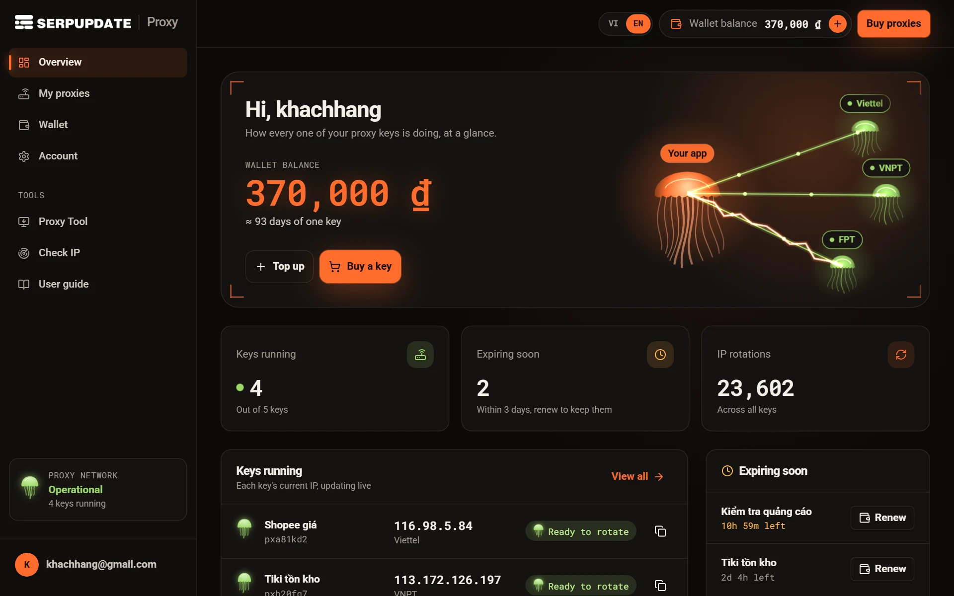 Overview page with the wallet balance, Top up and Buy a key buttons, stat tiles and the list of running keys